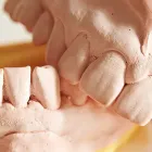 スタッフの紹介